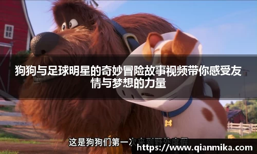 狗狗与足球明星的奇妙冒险故事视频带你感受友情与梦想的力量